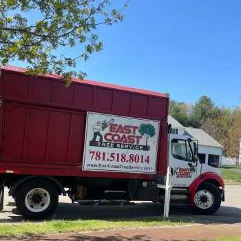 East-Coast-Tree-Service-tree-trimming-removal-a-1920w