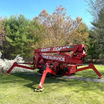 East-Coast-Tree-Service-tree-trimming-removal-c-1920w