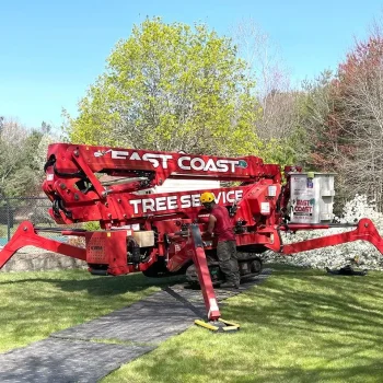 East-Coast-Tree-Service-tree-trimming-removal-d-1920w
