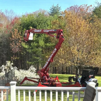 East-Coast-Tree-Service-tree-trimming-removal-e-1920w