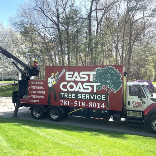 East-Coast-Tree-Service-tree-trimming-removal-f-1920w
