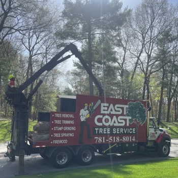 East-Coast-Tree-Service-tree-trimming-removal-i-1920w