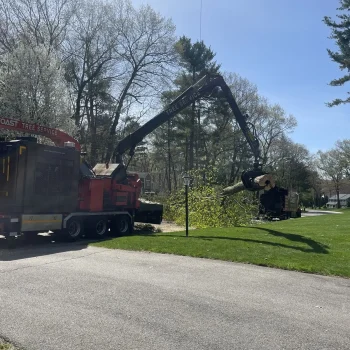 East-Coast-Tree-Service-tree-trimming-removal-k-1920w