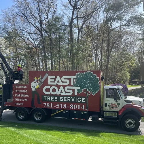 East-Coast-Tree-Service-tree-trimming-removal-n-1920w
