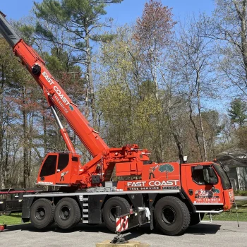 East-Coast-Tree-Service-tree-trimming-removal-r-1920w
