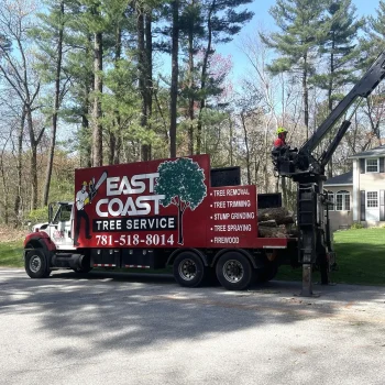 East-Coast-Tree-Service-tree-trimming-removal-s-1920w