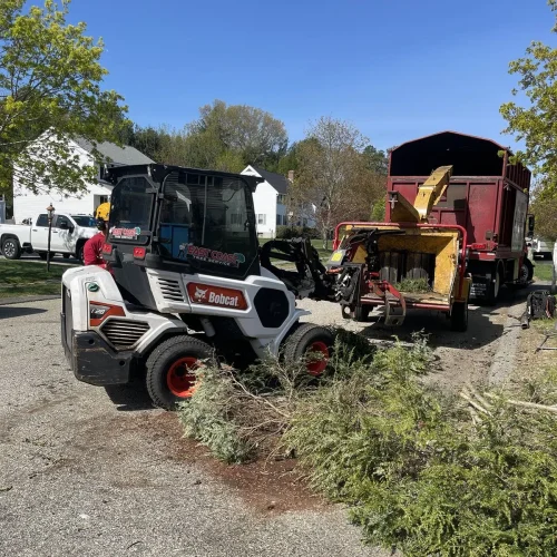 East-Coast-Tree-Service-tree-trimming-removal-t-1920w