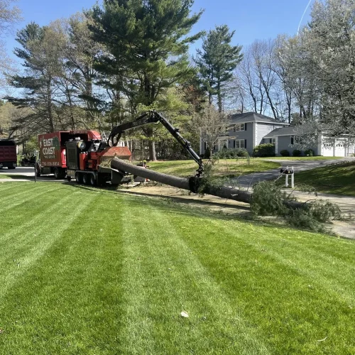 East-Coast-Tree-Service-tree-trimming-removal-zz-1920w