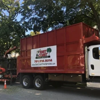 east-coast-tree-service-a-1920w