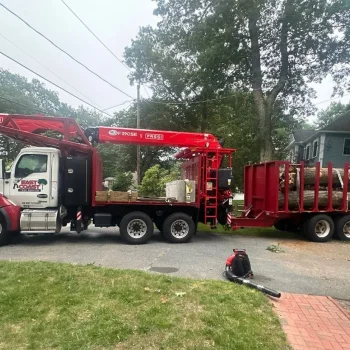 east-coast-tree-service-c-1920w