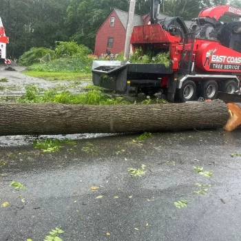 east-coast-tree-service-g-1920w