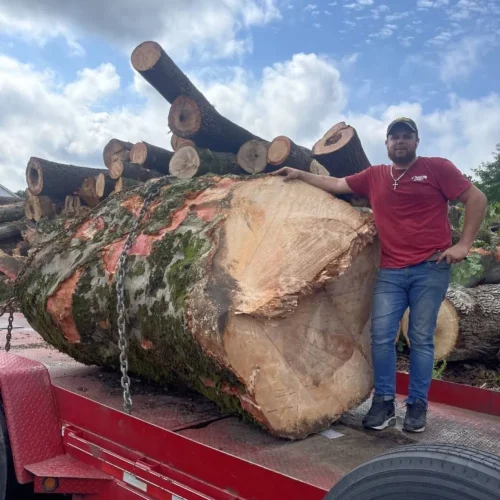 east-coast-tree-service-h-1920w