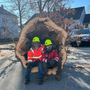 east-coast-tree-service-i-1920w