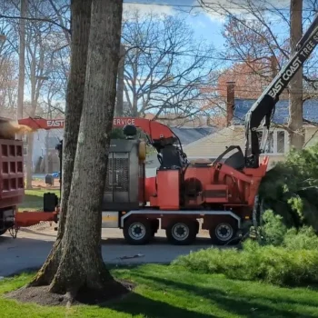 east-coast-tree-service-j-1920w
