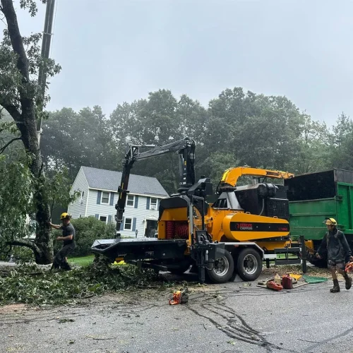 east-coast-tree-service-k-1920w