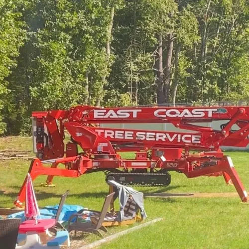 east-coast-tree-service-l-1920w