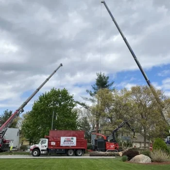 east-coast-tree-service-m-1920w