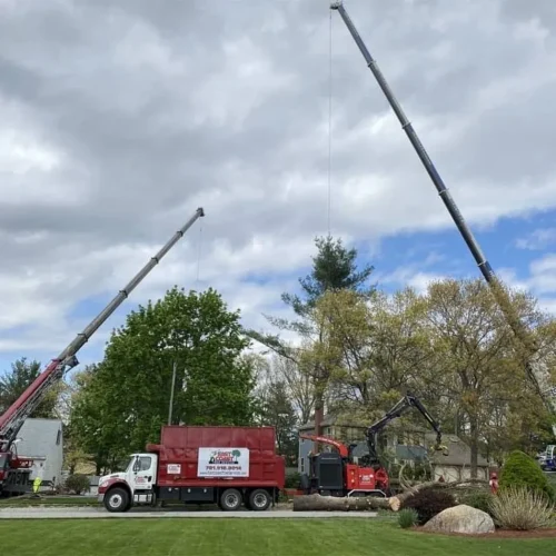 east-coast-tree-service-m-1920w