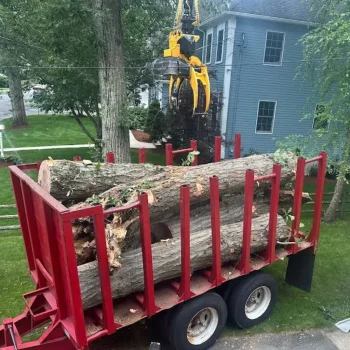 east-coast-tree-service-n-1920w