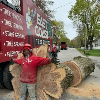 east-coast-tree-service-p-1920w
