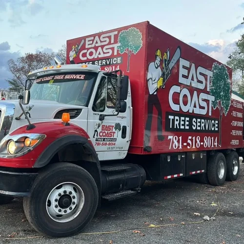 east-coast-tree-service-v-1920w