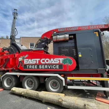 east-coast-tree-service-w-1920w