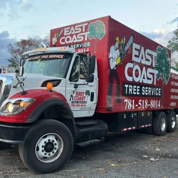 east-coast-tree-service-y-1920w