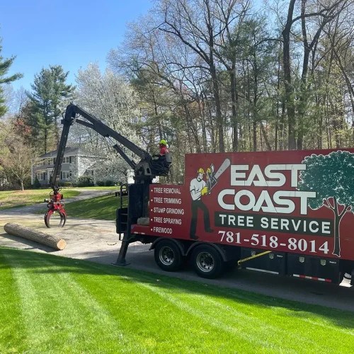 east-coast-tree-trimming-equipment-a-1920w