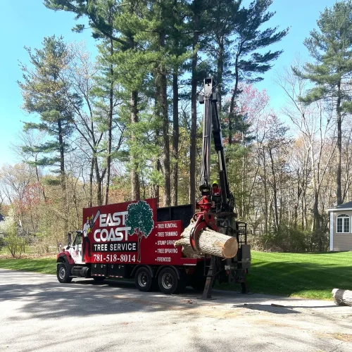 east-coast-tree-trimming-equipment-b-1920w