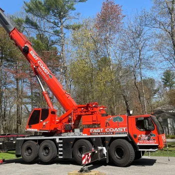 east-coast-tree-trimming-equipment-c-1920w