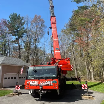 east-coast-tree-trimming-equipment-d-1920w