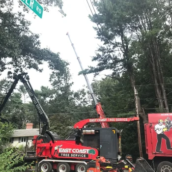 tree-trimming-crane-a-1920w