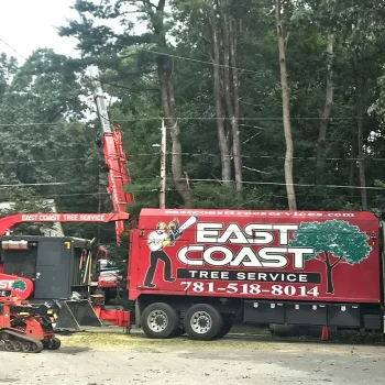 tree-trimming-crane-b-1920w