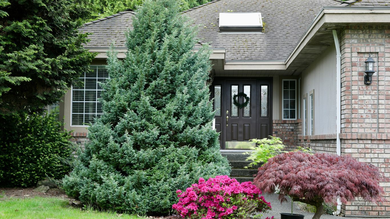 How Much Does Tree Removal Cost in Reading, MA? (2026 Prices)