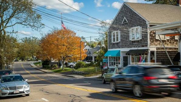 Tree Removal Cost in Massachusetts (2026 Pricing Guide)