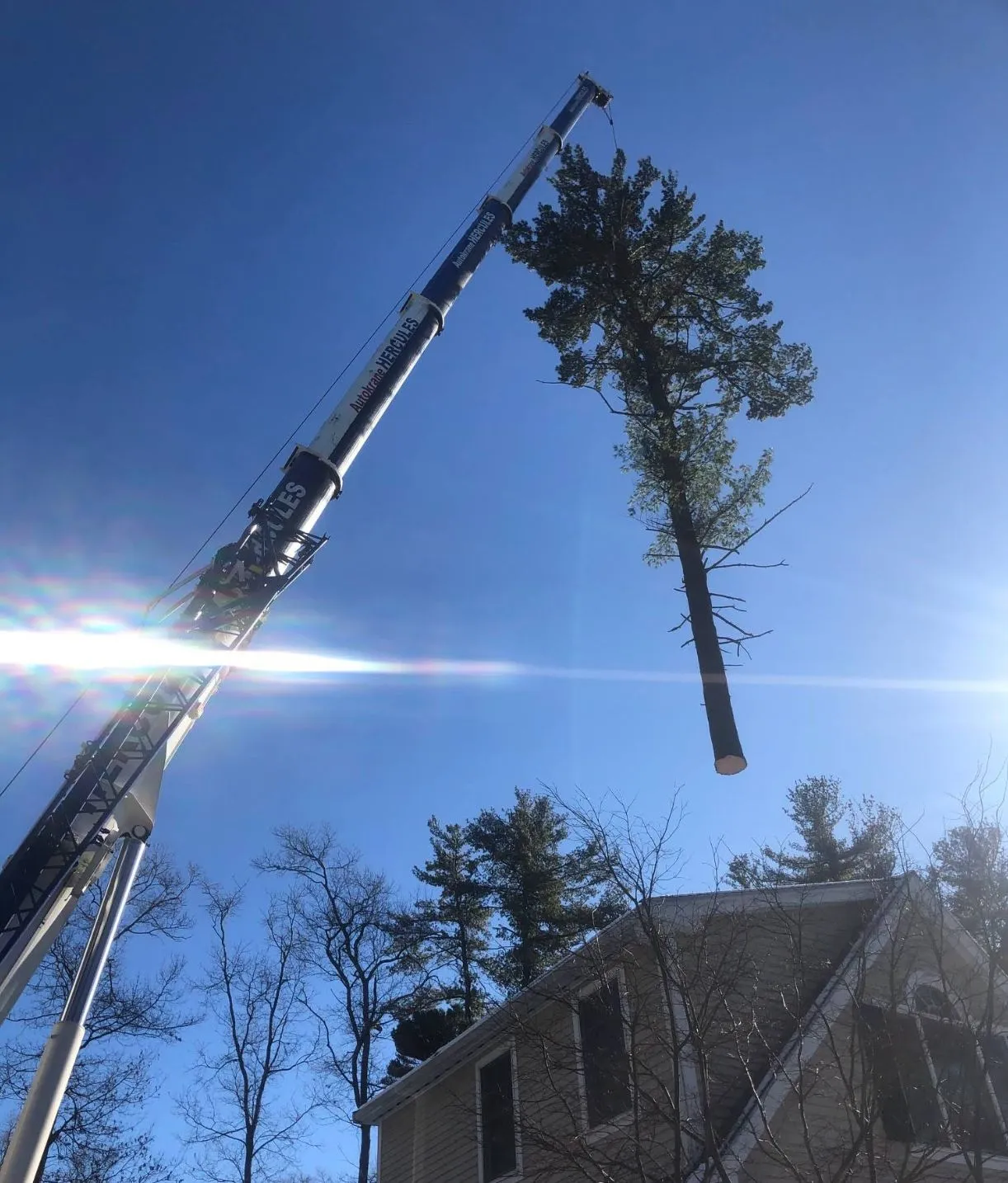 east-coast-tree-service-t-1920w
